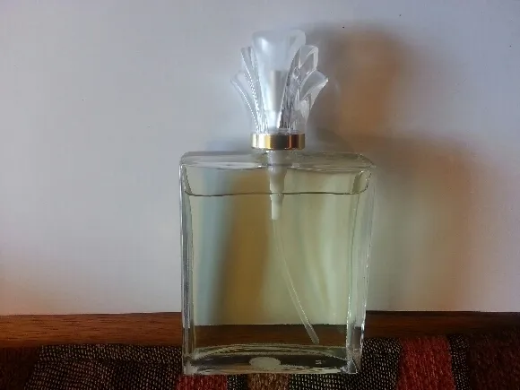 The CHI Human Energy - Fine French Fragrance photo 2