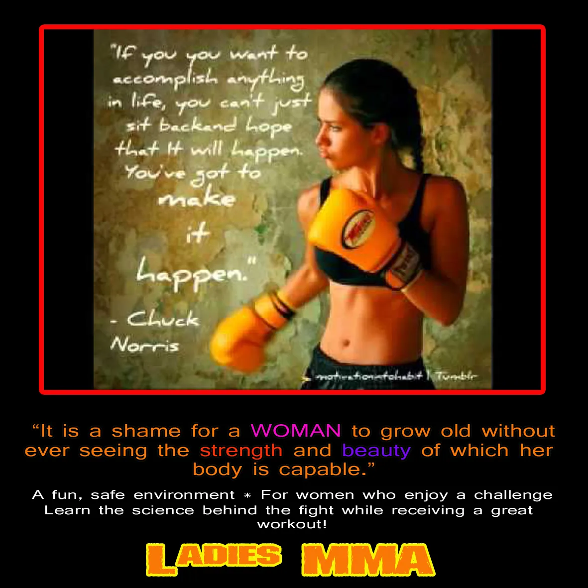 CombatCoaching.com photo 2