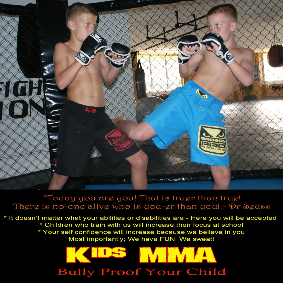 CombatCoaching.com photo 3