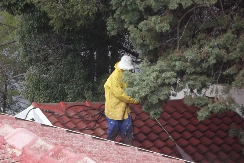Roof and Wall Coating photo 1