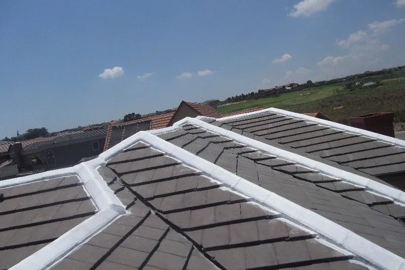 Roof and Wall Coating photo 2