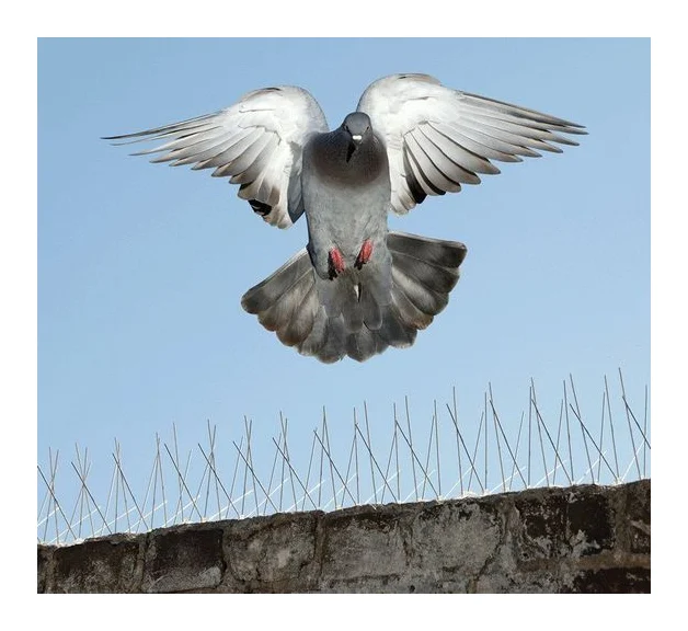 Bird Proofing Cape Town logo
