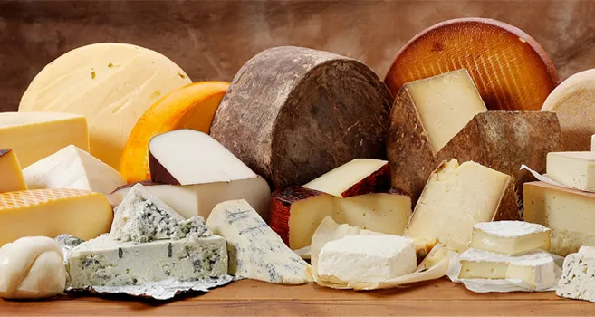 Triple333 Group | Food, Meat & Textiles Suppl photo 2