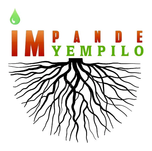 Impande Yempilo Trading & Projects logo