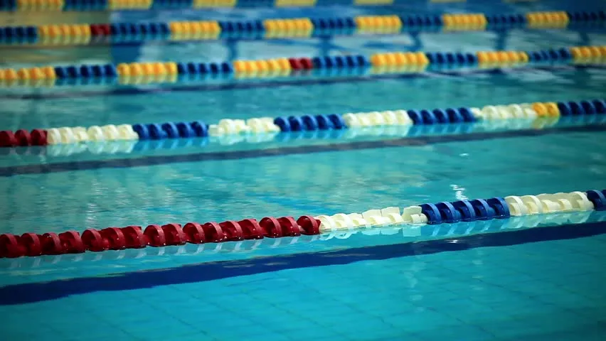Swimlab Swim School photo 3
