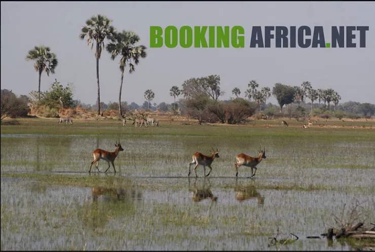 Booking Africa photo 1