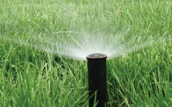 Best Landscapers Johannesburg photo 2