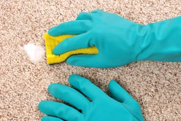 Durban Cleaning Services photo 4