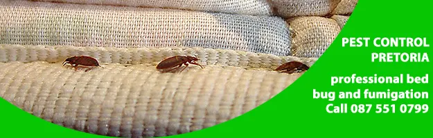 Pretoria Pest Control photo 1