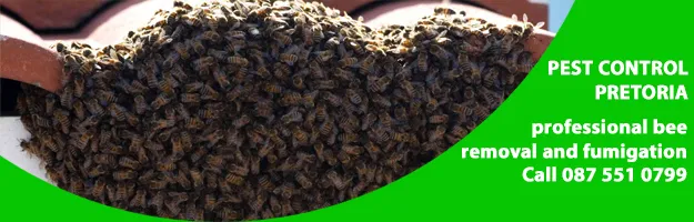 Pretoria Pest Control photo 2