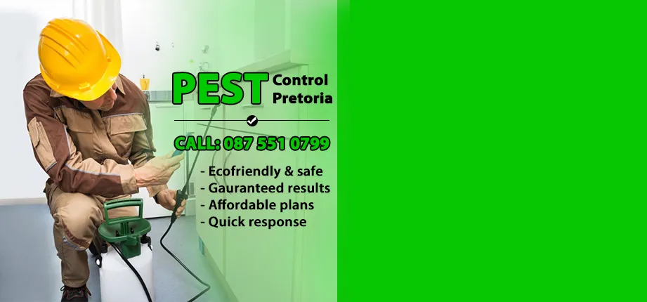 Pretoria Pest Control photo 3