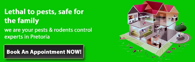 Pretoria Pest Control photo 4