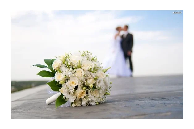 Wedding Photographer Pretoria logo