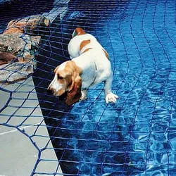 Pool Safety Net Specialists photo 3