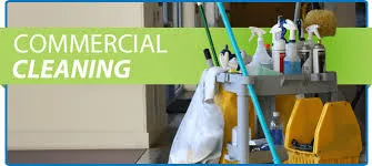 Bongumusa Contract Cleaning Services - PTY Lt photo 1