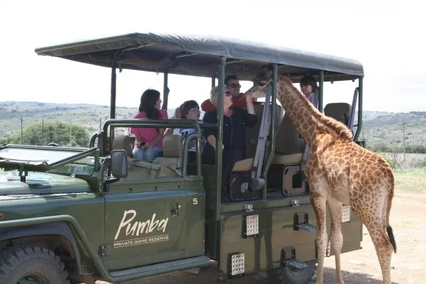 Kingsview Safaris photo 2