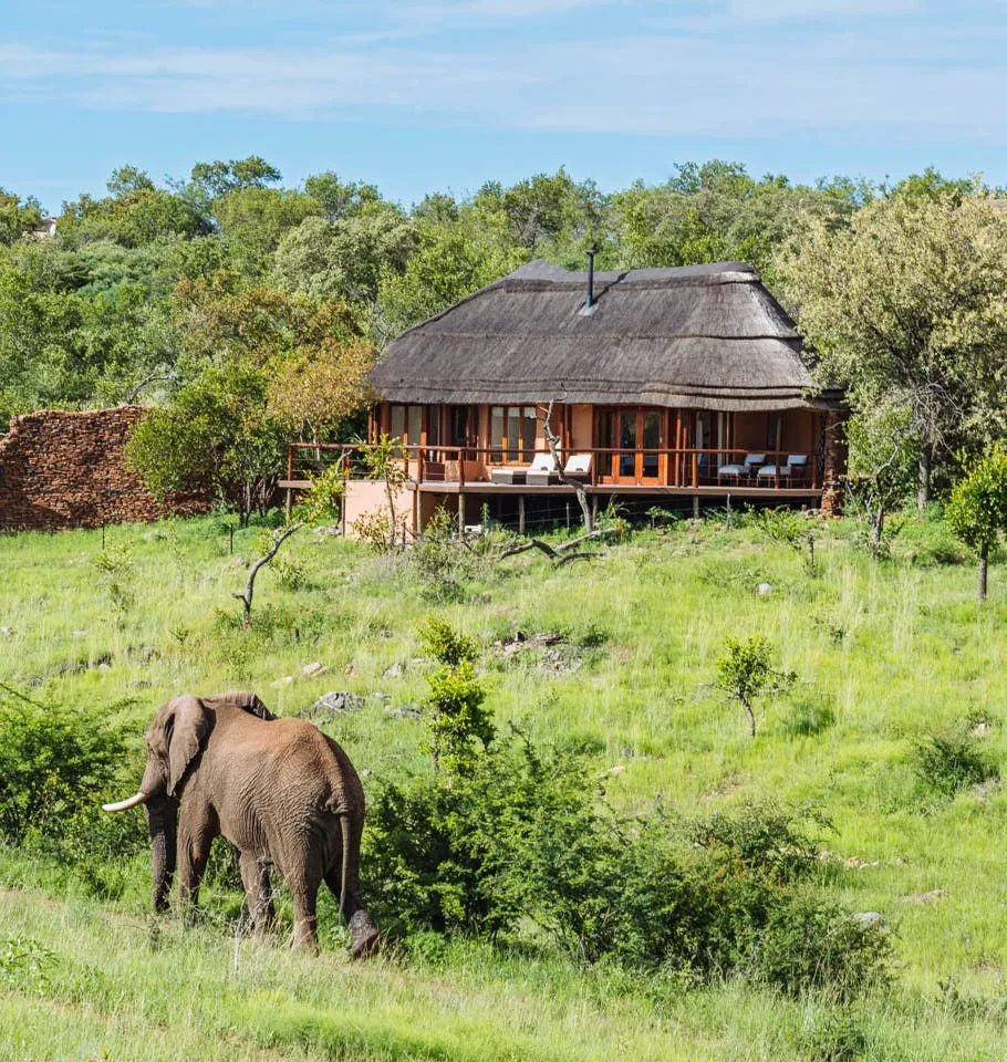 The Royal Madikwe South Africa photo 2