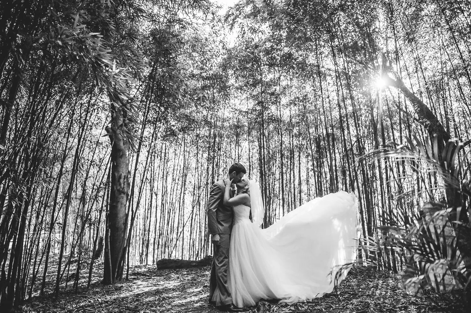 Conway Photography photo 2