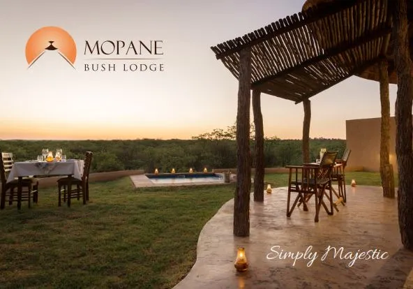 Mopane Bush Lodge photo 3