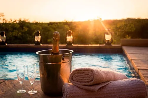 Mopane Bush Lodge photo 4