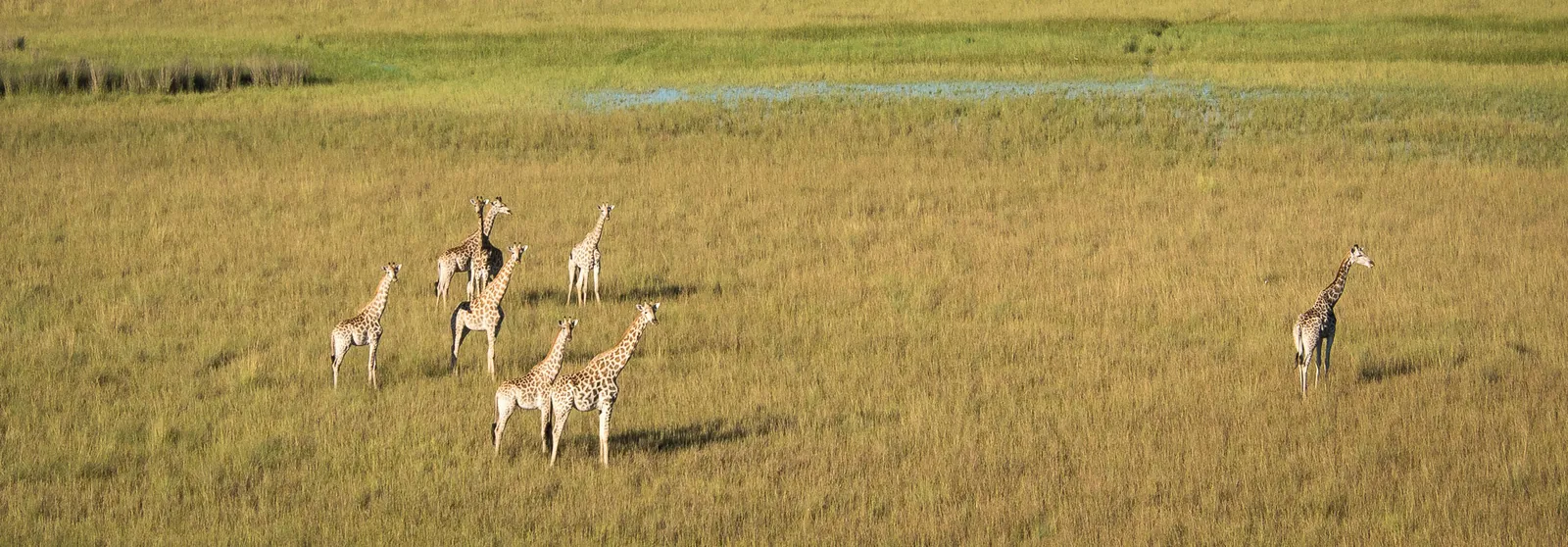Timamba African Safari photo 3