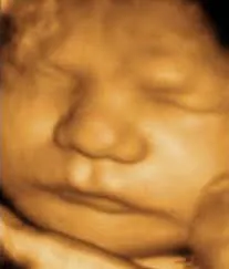 Life Scan Studio photo 2
