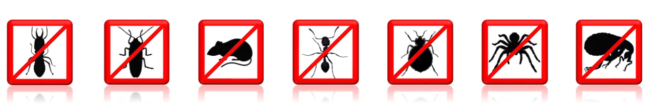Pest Control Pros photo 2