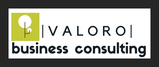 Valoro Business Consulting logo