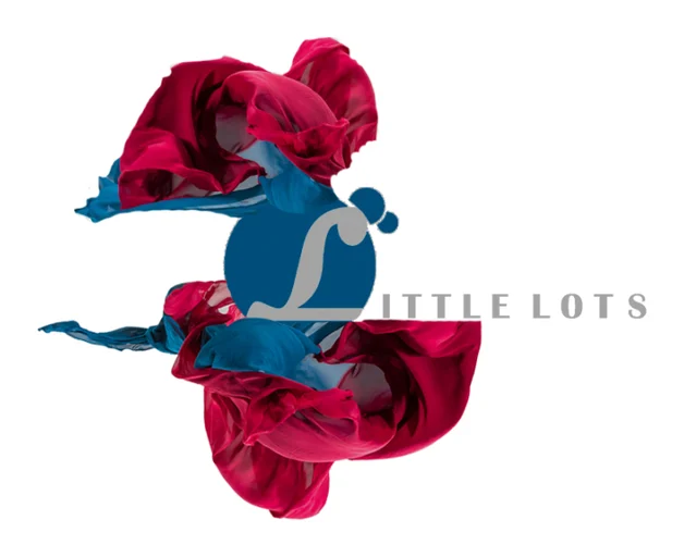 Little Lots Website Design and Digital Market logo