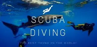 All About Scuba photo 1