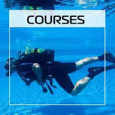 All About Scuba photo 4