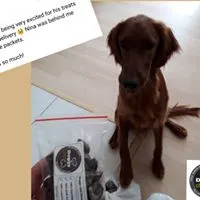 Doggychef photo 1
