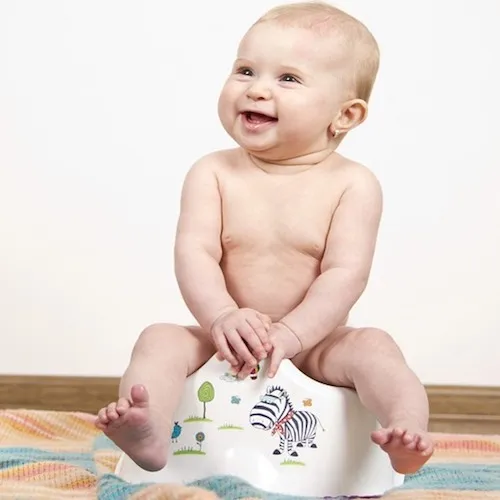 www.thekiddiecompany.co.za photo 4