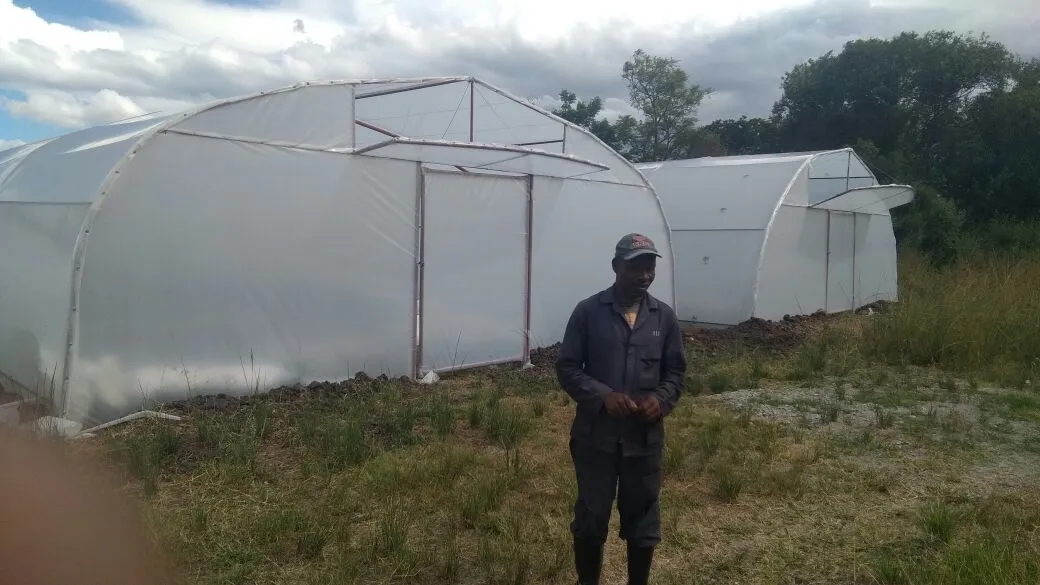 Greentek Tunnels photo 1