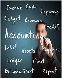 NP Accountants photo 2