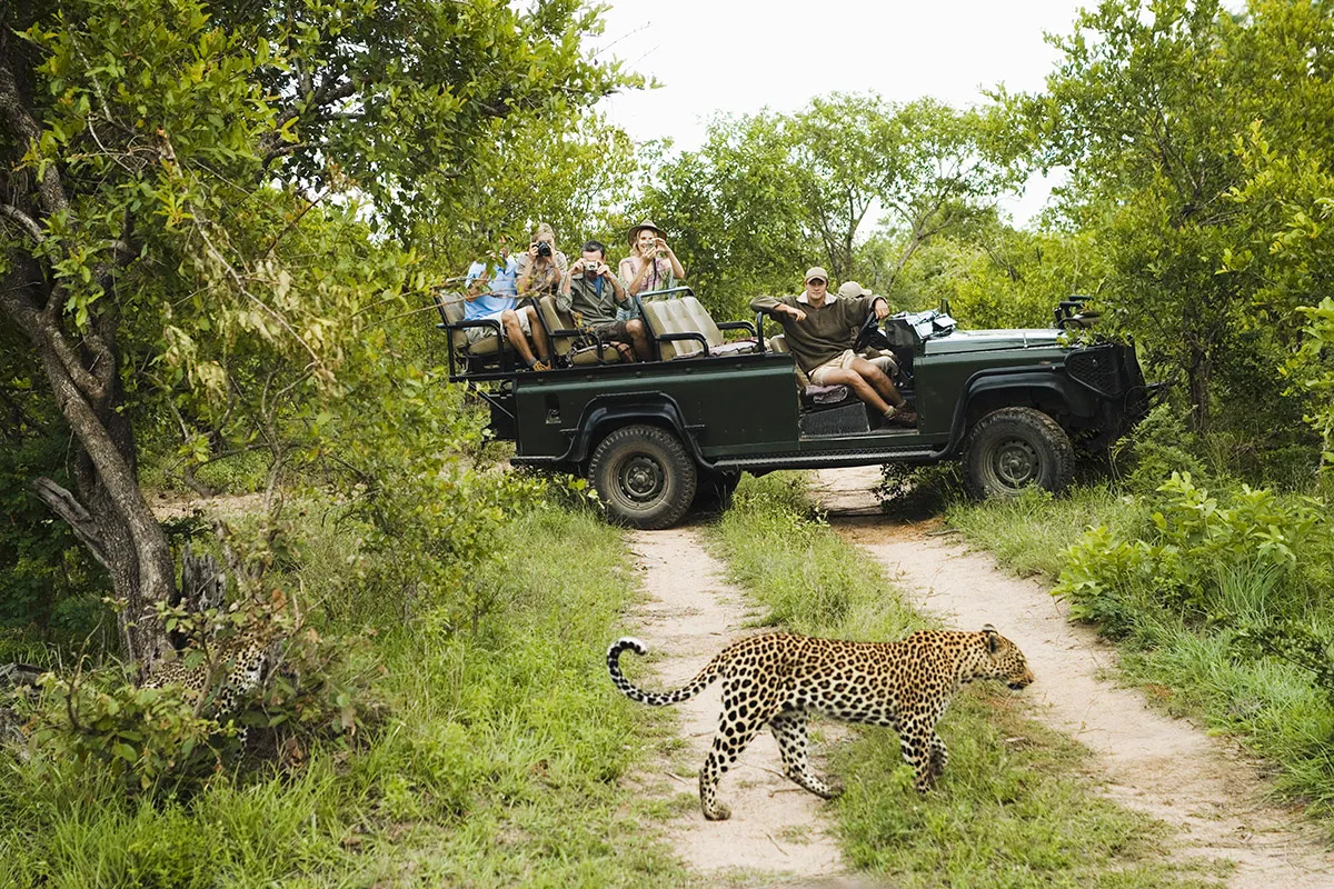 Joa Safaris photo 2