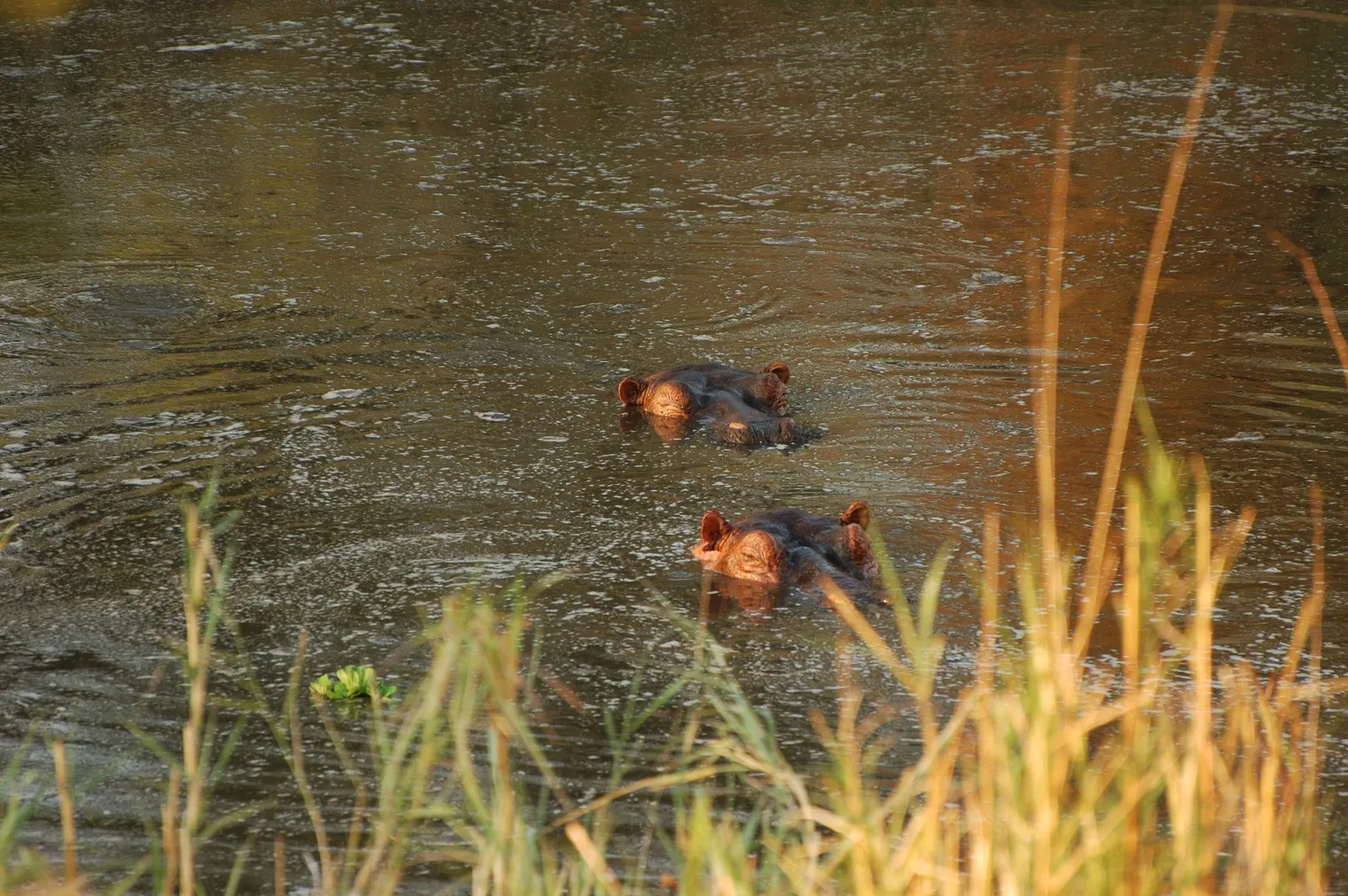 Encompass Africa photo 3