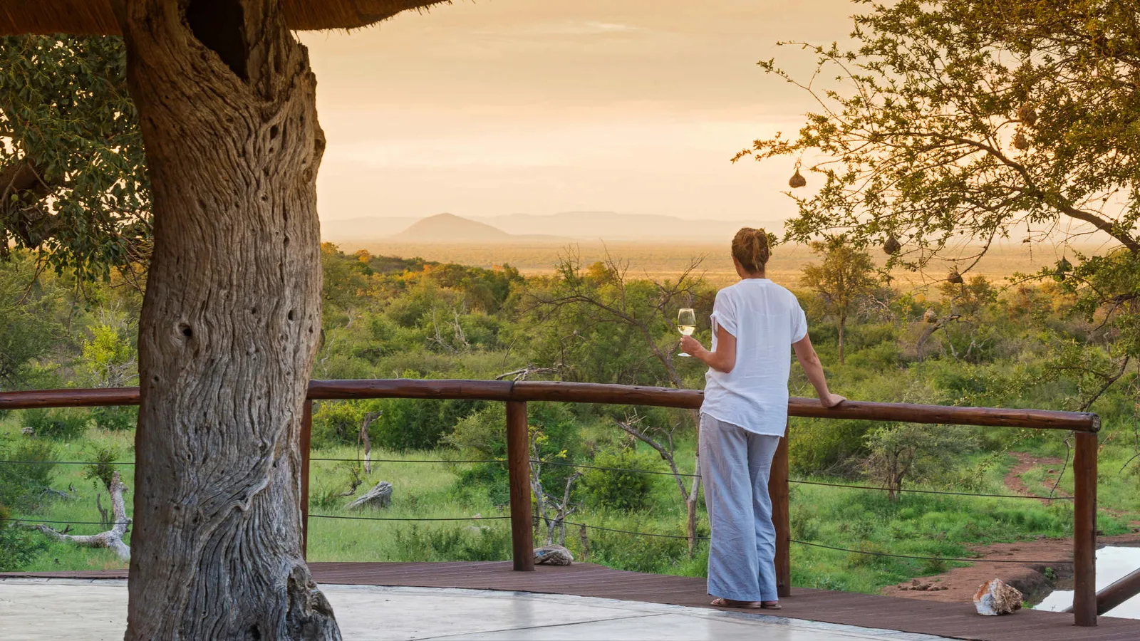 Safari Lodge South Africa | The Royal Madikwe photo 1