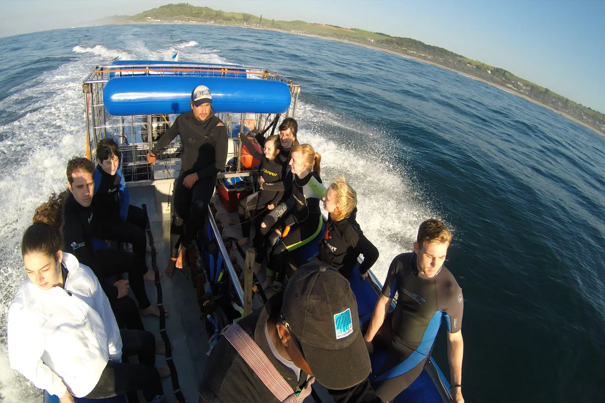 Blue Wilderness Shark Adventures photo 3