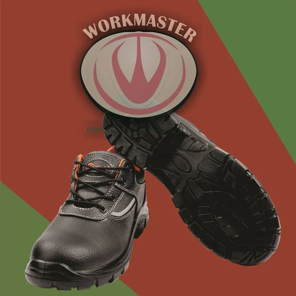 Workmaster photo 4