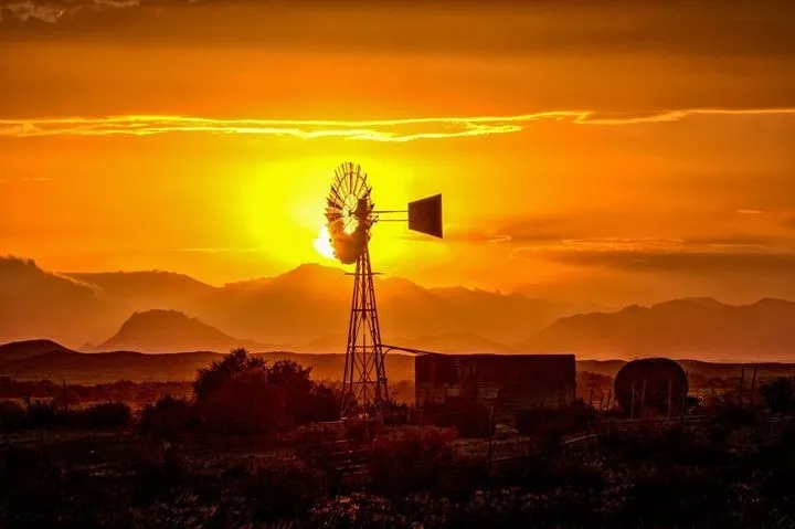 THUNDERWOOD OLIVES & KAROO SKY BILTONG photo 2