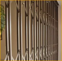 Incredible Door photo 1