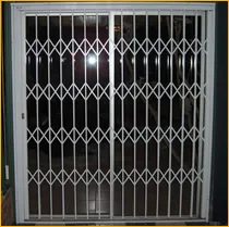 Incredible Door photo 2