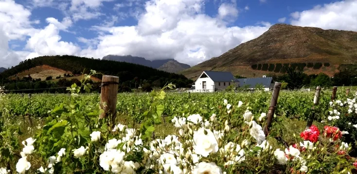 Romantic Retreats photo 3