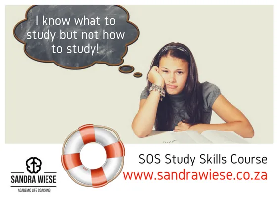Sandra Wiese Academic Life Coaching photo 1