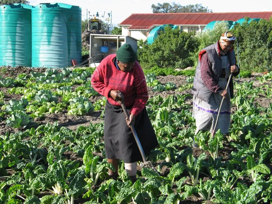 Agri Consulting and Projects Pty Ltd photo 2