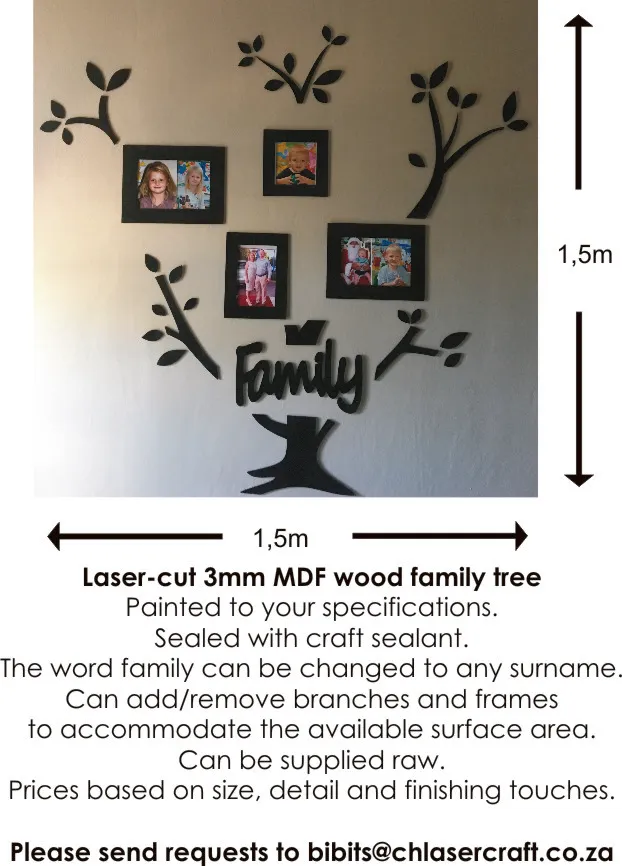 CH Laser Craft photo 1