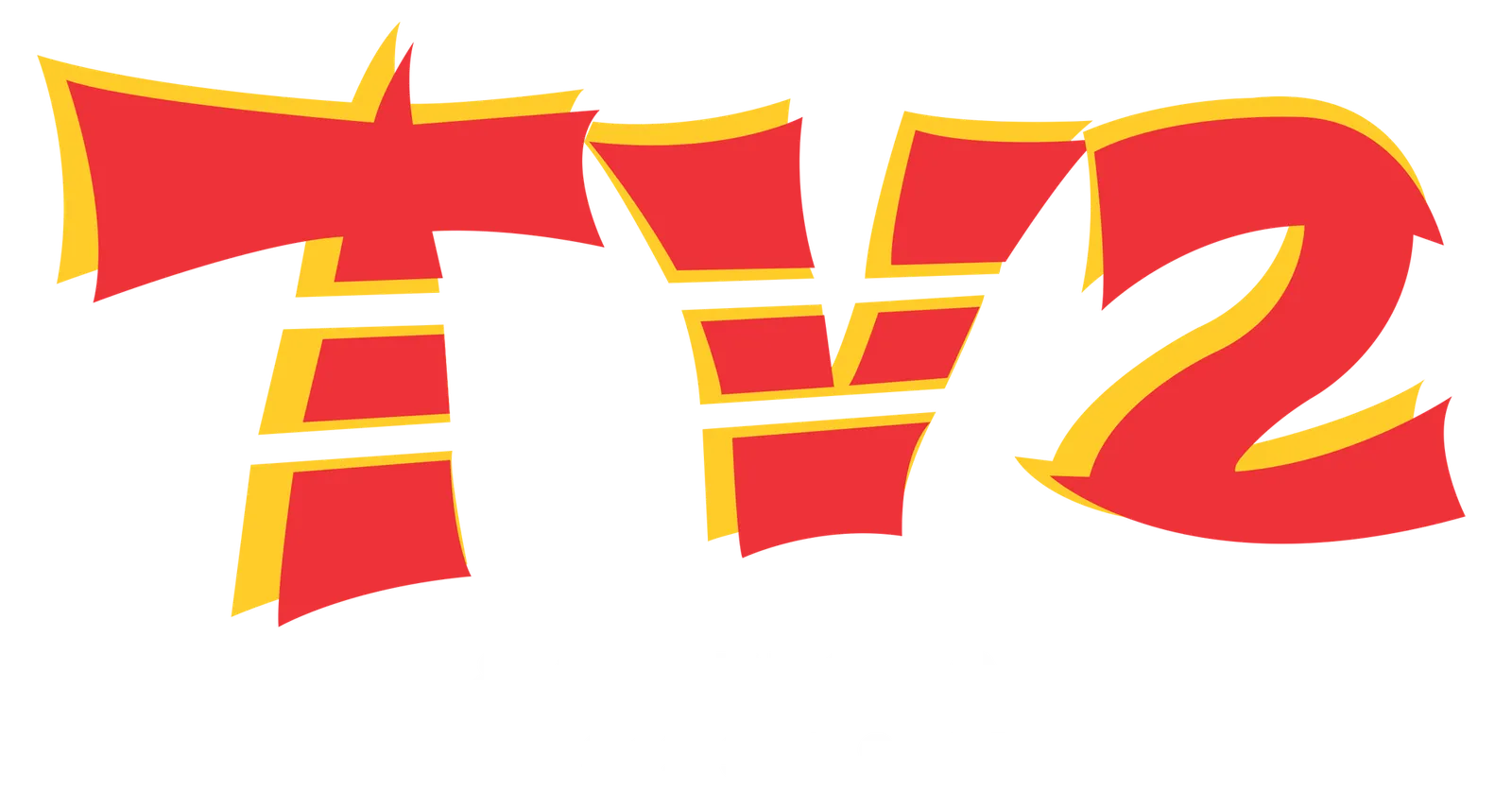 TV2 Engine & Gearbox Specialist photo 1