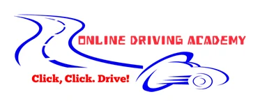 Driving Lessons cape town logo