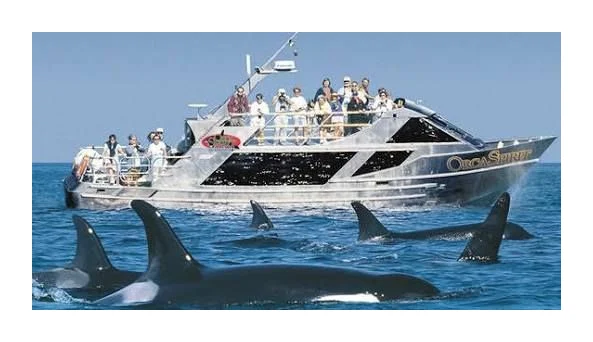 Xenon Travel logo